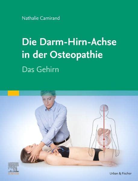 Die Achse Hirn-Darm-Becken in der Osteopathie: Das Gehirn