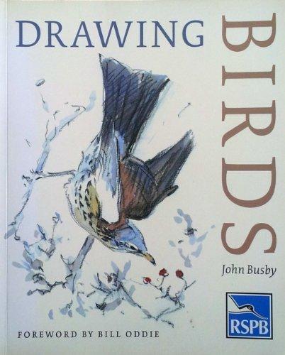 Drawing Birds: An R.S.P.B.Guide (Draw Books)