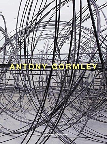 Antony Gormley: Mit Texten von Antonio Damasio, Yilmaz Dziewior und Marcus Steinweg