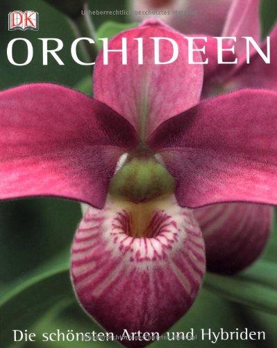 Orchideen: Die schönsten Arten und Hybriden