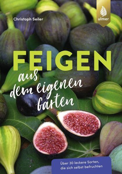 Feigen aus dem eigenen Garten: Über 30 leckere Sorten, die sich selbst befruchten