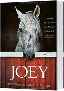 Joey: Wie ein blindes Pferd uns Wunder sehen ließ. Eine wahre Geschichte