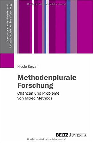 Methodenplurale Forschung: Chancen und Probleme von Mixed Methods (Standards standardisierter und nichtstandardisierter Sozialforschung)