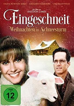 Eingeschneit - Weihnachten im Schneesturm