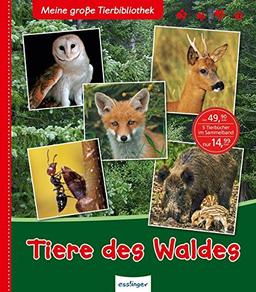 Meine große Tierbibliothek: Tiere des Waldes