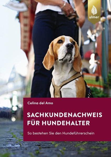 Sachkundenachweis für Hundehalter: So bestehen Sie den Hundeführerschein