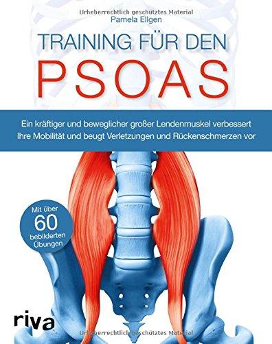 Training für den Psoas: Ein kräftiger und beweglicher großer Lendenmuskel verbessert Ihre Mobilität und beugt Verletzungen und Rückenschmerzen vor