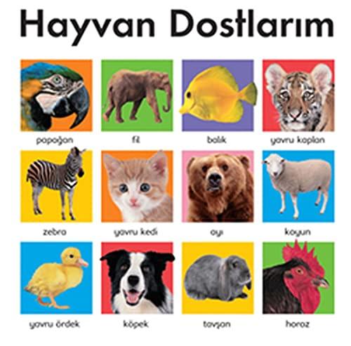 HAYVAN DOSTLARIM