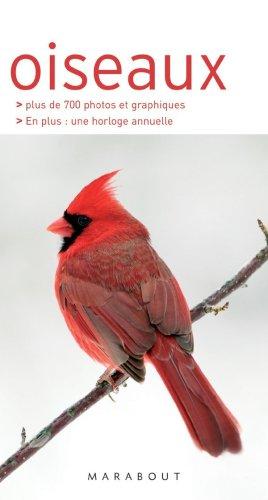 Oiseaux : les reconnaître facilement sans se tromper