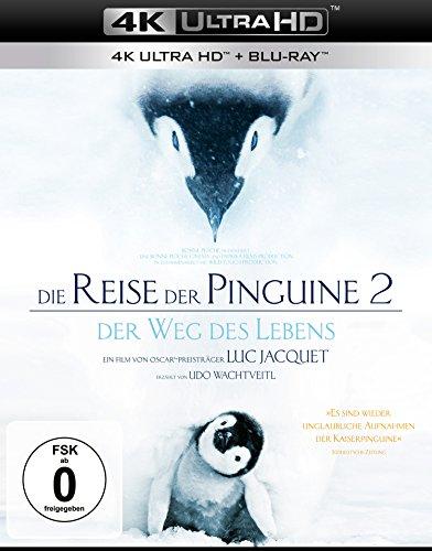 Die Reise der Pinguine 2 - Der Weg des Lebens (4K Ultra HD) (+ Blu-ray 2D)