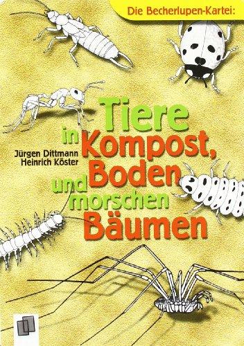 Tiere in Kompost, Boden und morschen Bäumen