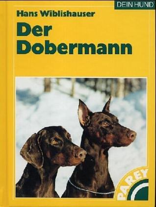 Der Dobermann.