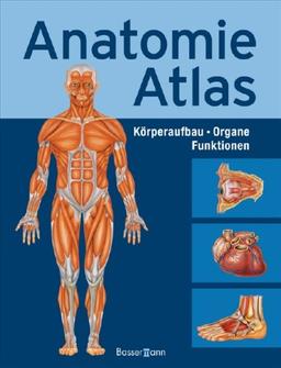 Anatomie-Atlas: Körperbau . Organe . Funktionen