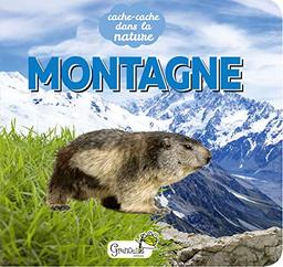 Montagne