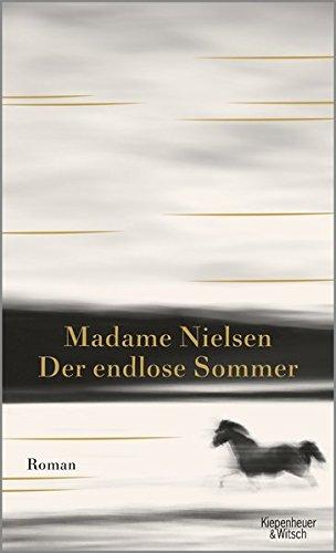 Der endlose Sommer: Roman