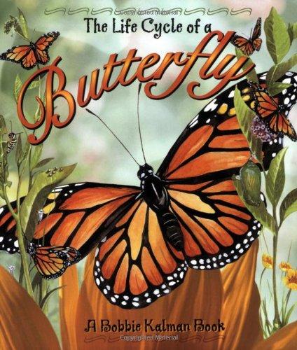 Butterfly (The Life Cycle)