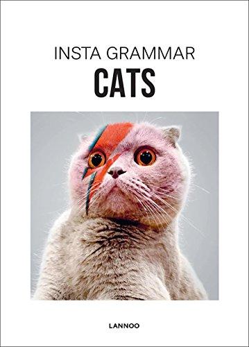 Insta grammar. Cats