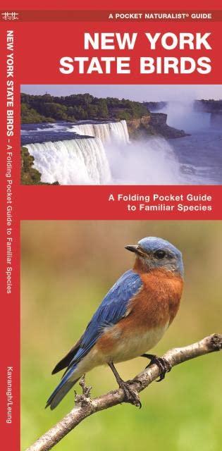 New York State Birds: A Folding Pocket Guide to Familiar Species (Pocket Naturalist Guide Series)