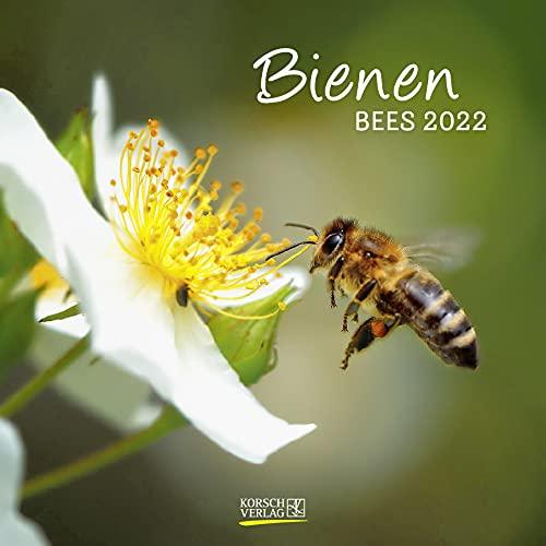 Bienen 2022: Broschürenkalender mit Ferienterminen. Format: 30 x 30 cm