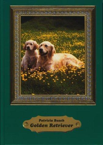 Golden Retriever: Das Rasseportrait