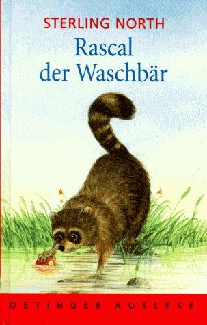 Rascal der Waschbär