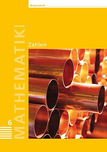 Mathematik 6 Primarstufe / Arbeitshefte