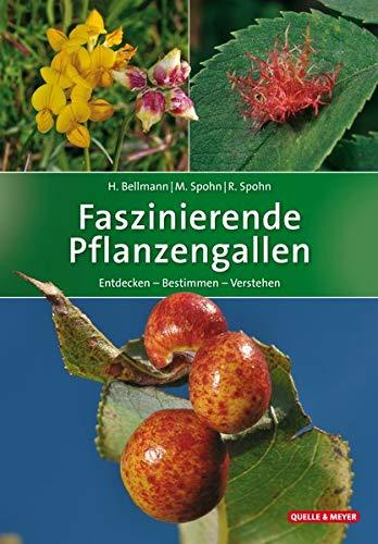 Faszinierende Pflanzengallen: Entdecken – Bestimmen – Verstehen