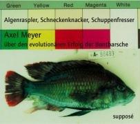 Algenraspler, Schneckenknacker, Schuppenfresser: Axel Meyer über den evolutionären Erfolg der Buntbarsche