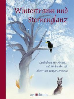 Wintertraum und Sternenglanz. Geschichten zur Advents-und Weihnachtszeit