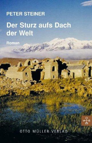 Der Sturz aufs Dach der Welt: Roman