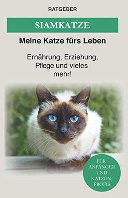 Siam Katze: Siamkatze - Ernährung, Erziehung, Pflege und vieles mehr!