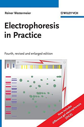 Electrophoresis in Practice: A Guide to Methods and Applications of DNA and Protein Separations