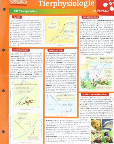 Lerntafel: Tierphysiologie im Überblick (Lerntafeln Biologie)