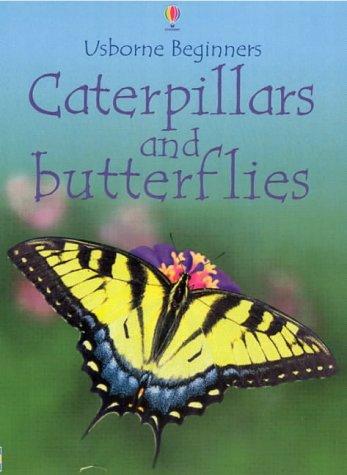 Caterpillars and Butterflies (Beginners)