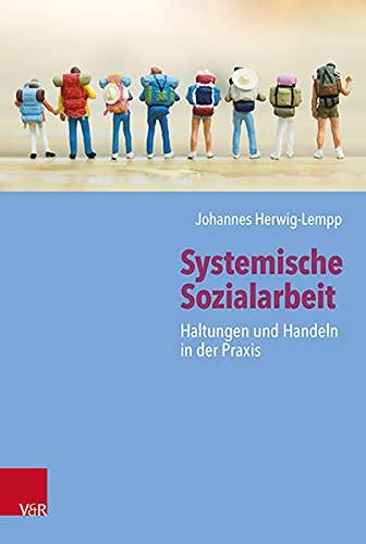 Systemische Sozialarbeit: Haltungen und Handeln in der Praxis