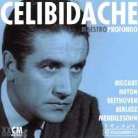 Sergiu Celibidache (1912-1996) Maestro Profondo 2 CDs