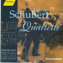 Schubert Streichquartette Rabenschlag