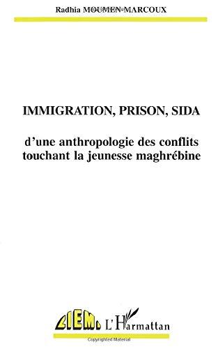 Immigration, prison, sida : d'une anthropologie des conflits touchant la jeunesse maghrébine