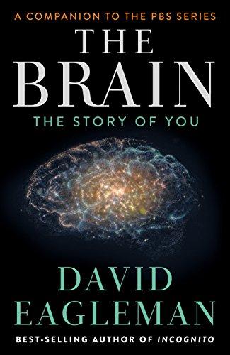 The Brain: The Story of You