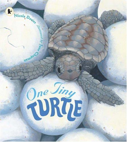 One Tiny Turtle (Nature Storybooks)