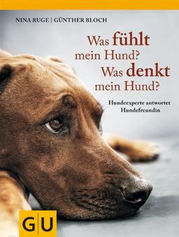 Was fühlt mein Hund? Was denkt mein Hund?: Hundeexperte antwortet Hundefreundin (GU Tier - Spezial)