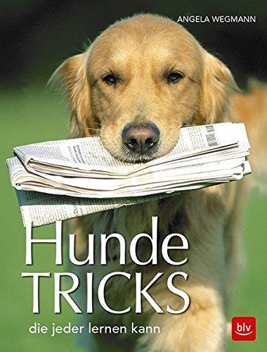 Hundetricks: die jeder lernen kann