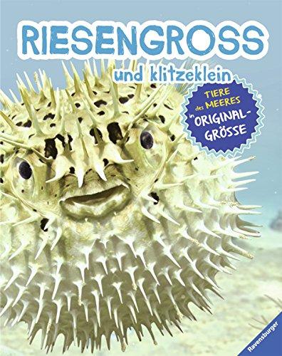 RIESENGROSS und klitzeklein: Tiere des Meeres in Originalgröße