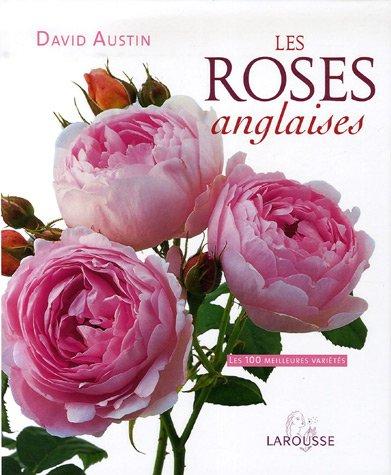 Les roses anglaises : les 100 meilleures variétés