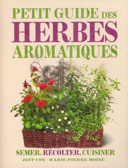 Petit guide des herbes aromatiques : semer, récolter, cuisiner