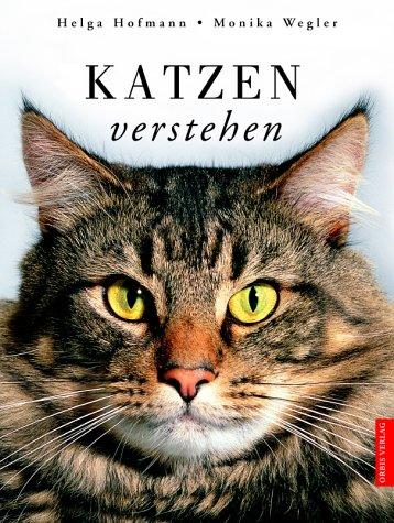 Katzen verstehen