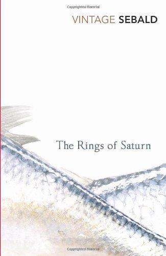 The Rings Of Saturn