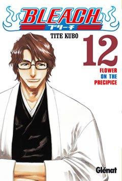 Bleach 12 (Shonen Manga, Band 12)