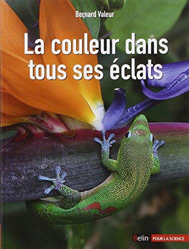 La couleur dans tous ses éclats