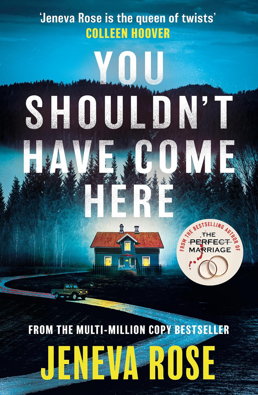 You Shouldn't Have Come Here: An absolutely gripping thriller from ‘the queen of twists’